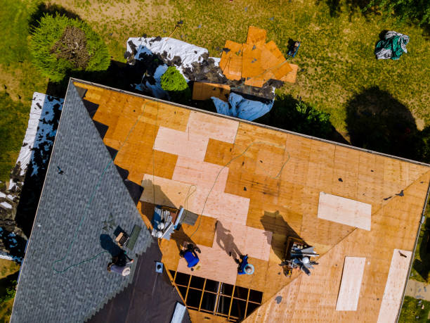 Best Roof Leak Repair  in Cloverdale, VA